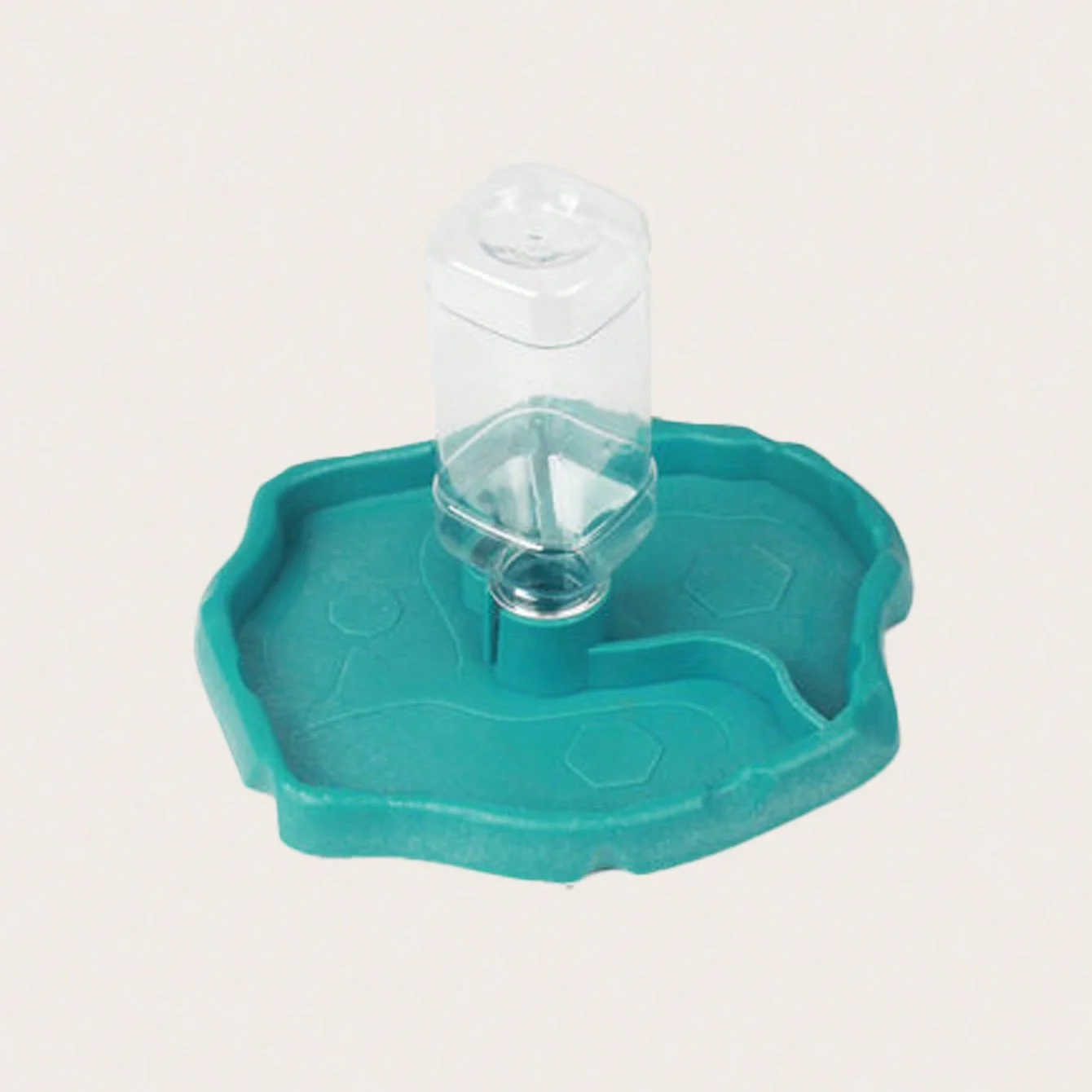 1pc - Reptile Feeder, Turtle Food Dish, 5
