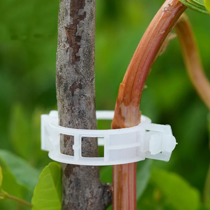Plastic plant clips plastic plant supports plant clips plant support connector 50/100pcs Plastic Plant Clips Supports Connects Reusable Protection Grafting Fixing Plant Vegetable Tomato Tools Garden Supplies