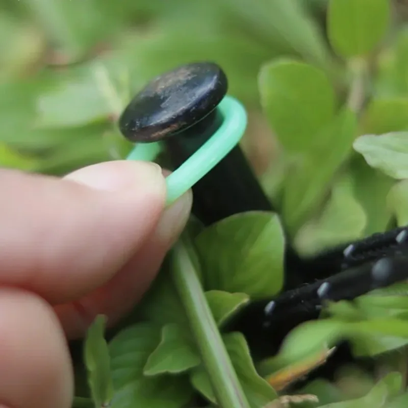 Slide image 82032050f30a4ca38515e1db968376a7