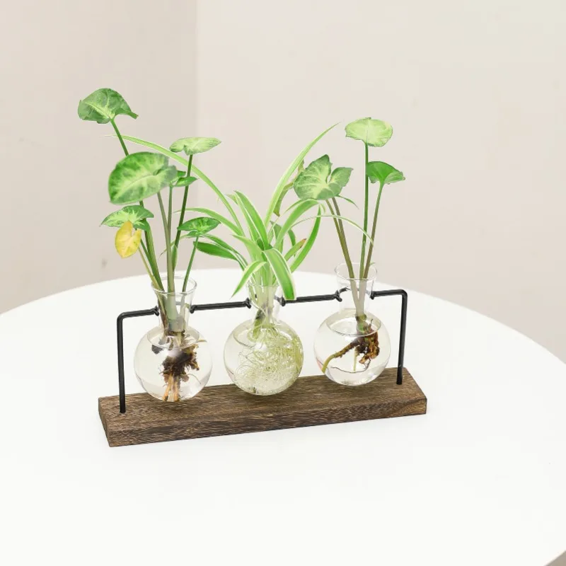 Terrarium Creative Hydroponic Plant Transparent Vase, Wooden Frame, Glass Tabletop, Bonsai Decor, Flower Vase 6