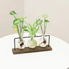Terrarium Creative Hydroponic Plant Transparent Vase, Wooden Frame, Glass Tabletop, Bonsai Decor, Flower Vase 6