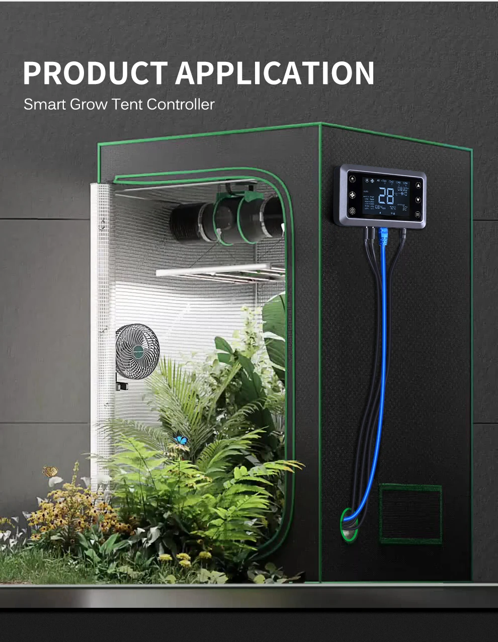 Intelligenter Grow-Tent-Controller 2,5mm zu RJ45 RJ12 DC12V Typ-C Verschiedene Schnittstellen mit intelligentem Multitasking-Farbdisplay – Detail 10