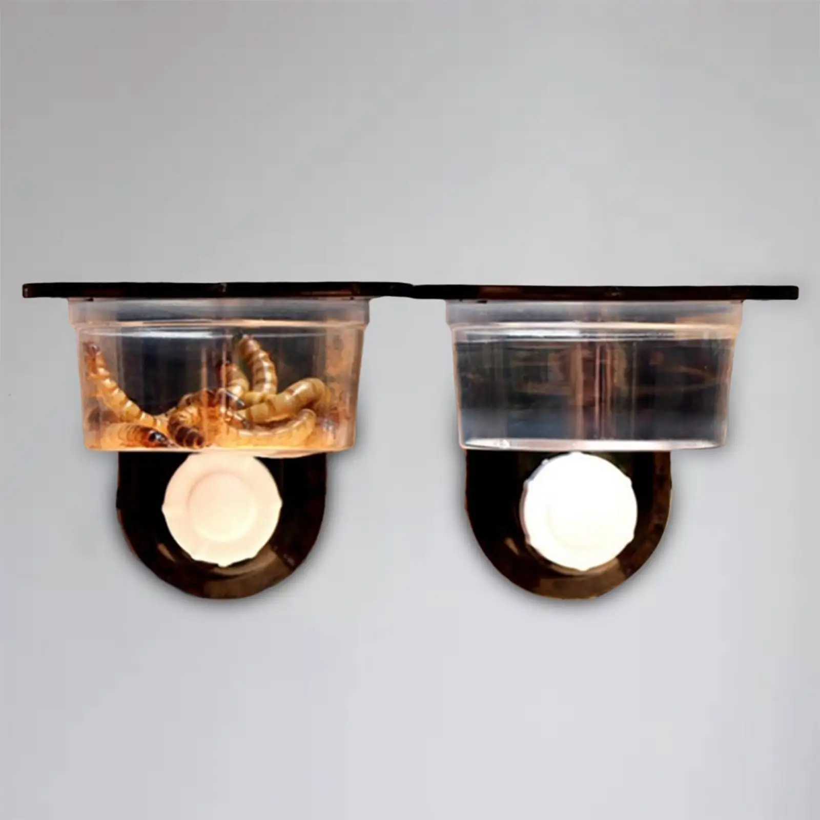 1 Pair Plastic Diameter 6cm Round Bowls for Amphibians Gecko Turtle