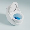 YYHC-White premium capsule egg-shaped sanitary ware Flush toilet bathroom ceramic siphon floor installation all-in-one 5