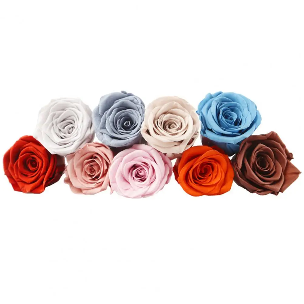 Party Supplies Vibrant Eternal Rose Flowers Handmade Natural