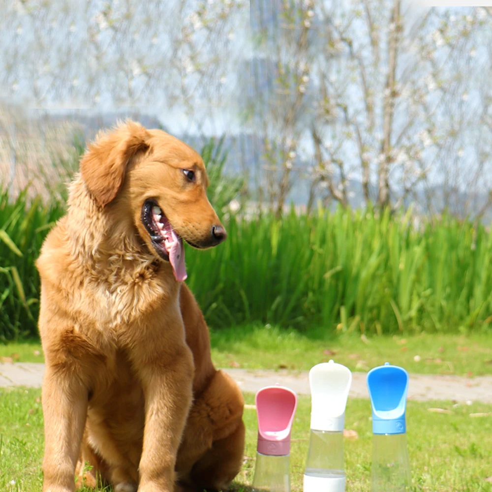 Title 17, Dog Water Bottle Portable for Small Large Dogs ...