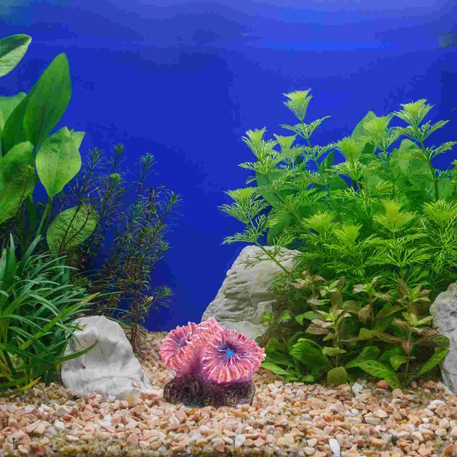 Simulated Coral Landscaping Desk Top Decor Large Aquarium Decorations Turtle  Tank Reef Resin Fish Stuff - AliExpress