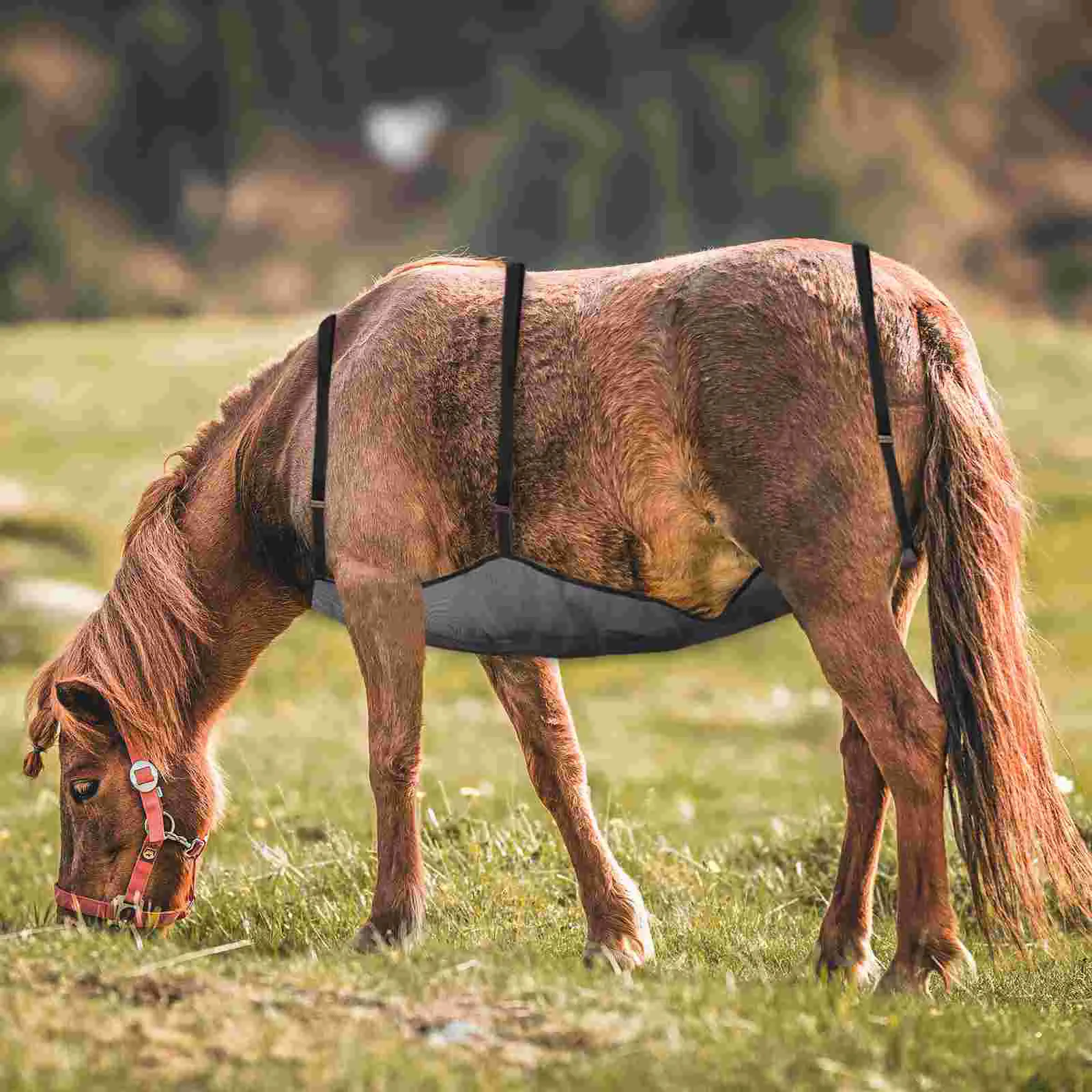 Horse Belly Protection Cover Adjustable Fly Rug Net Comfortable Protective Anti-Mosquito Mesh Equestrian Supplies