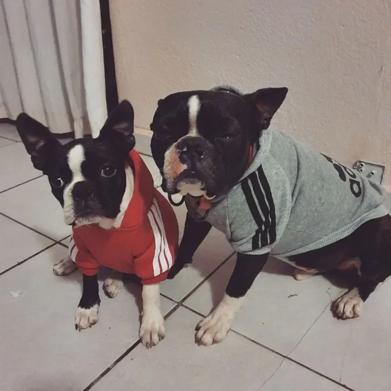 Winter Dog Clothes Adidog Sport Hoodies Sweatshirts Warm Coat for Small Medium Large Dogs Big Dogs Cat Pets Puppy Outfi Pet Clothes