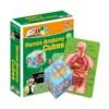 Human Body Organs Cube Book Science Classroom Demonstration Tools Toys Puzzle Human Anatomy Display For Kids Ages 6+ 1