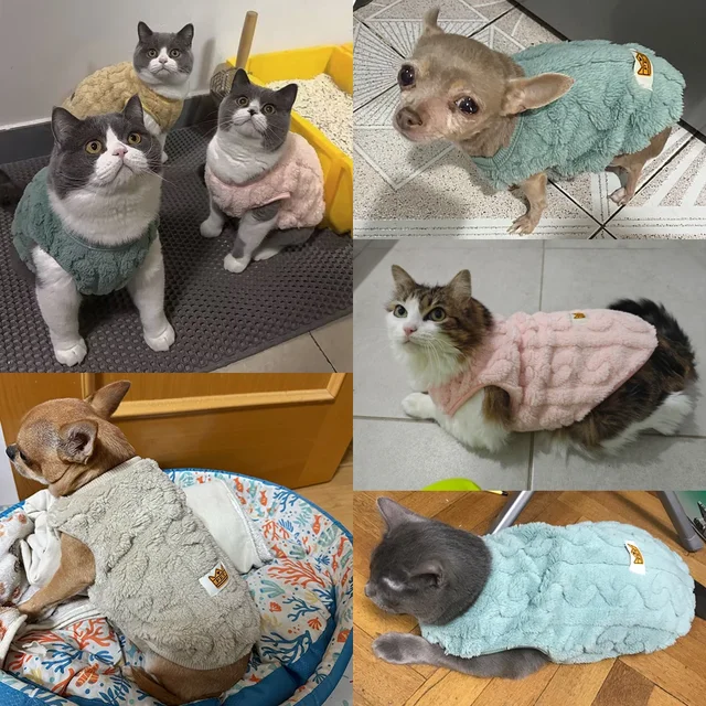 Autumn Winter Pet Cat Clothes Soft Fleece Vest Sweater For Small Dogs Cute Puppy Kitten Pullover Jacket Sphynx Cats Costumes 5