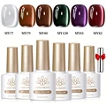 244884-6Pcs-10ml