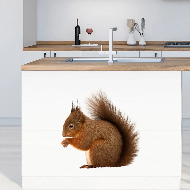 Squirrel Wall Stickers wall stickers,vinyl decal stickers