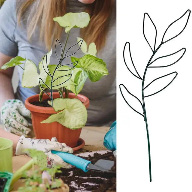 Könnyen Beilleszthető Őszi Ellenálló Támogató Nagy Teherbírású Bonsai Hegymászó Állvány Kerti Dekoráció