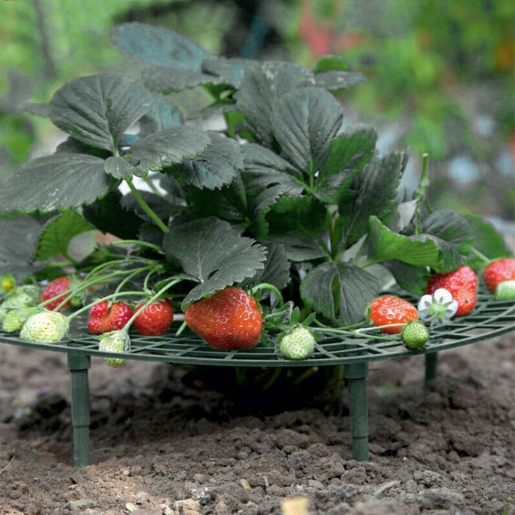 10pc Vegetable Growing Rack Strawberry Growing Plastic Supports Fruit Plant Tray Watermelon Anti Rot Holder Garden Planting Tool
