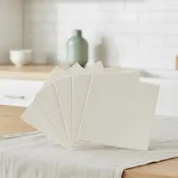 Feuilles de mica pour four à micro-ondes, 5 pièces, pour isolation haute température dans les projets électroniques 2