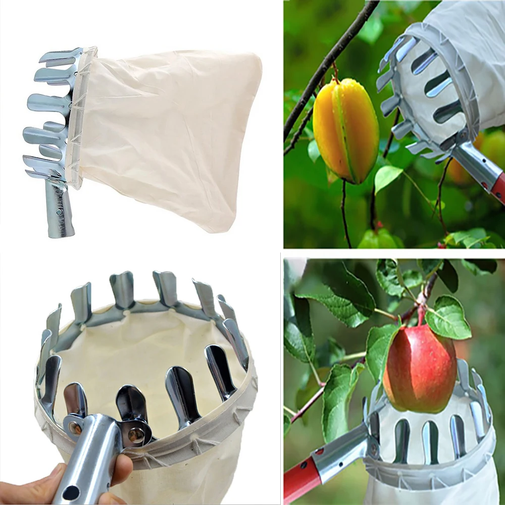 MetalFruitPickerOrchardGardeningApplePeachHighTreePickingTool