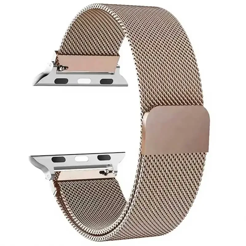 Luxurious Metal Milanese Loop Band