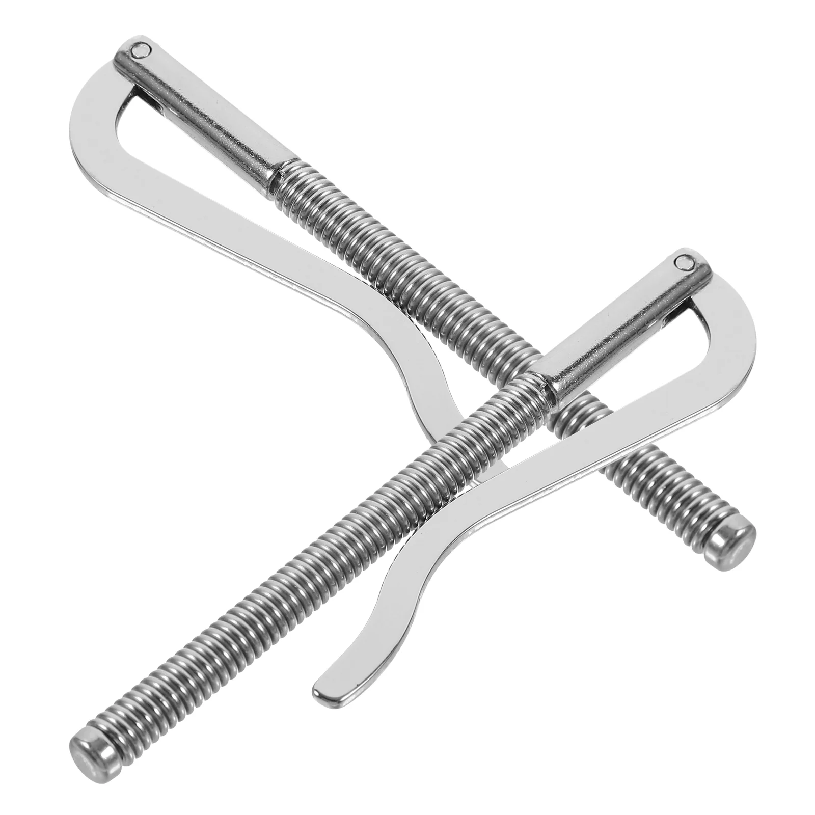 

2 Pcs Metal Check Holder Office Money Clip Cards Storage Springs Securing Zinc Alloy Bill