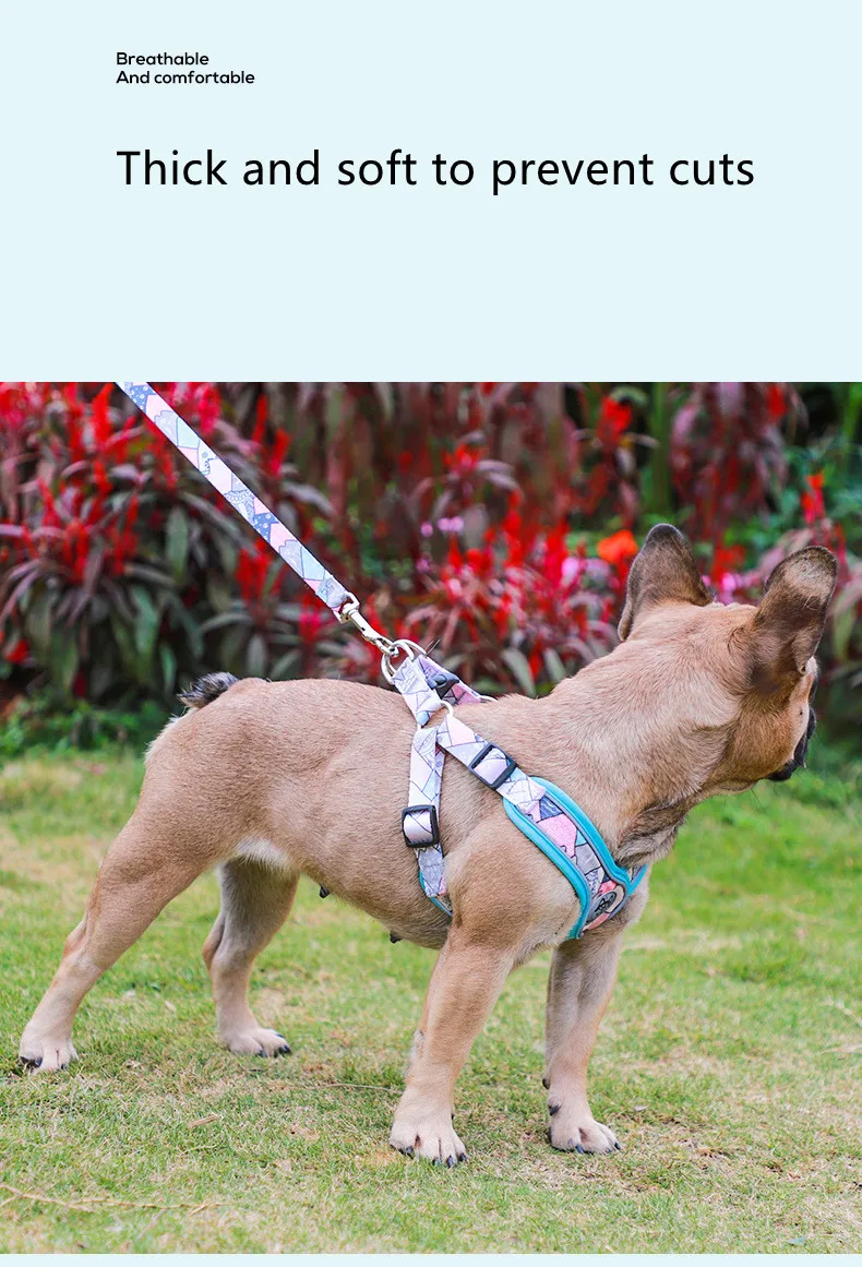 Luminous Adjustable Harness For Dogs - PeticaDeals