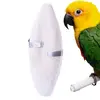 Cuttle Bone Natural Bird Cuttlebone Bird Sharp Beaks Cuttlefish Bone Cuddle Bone Toy Chew Toys For Reptiles Snails Turtles 1