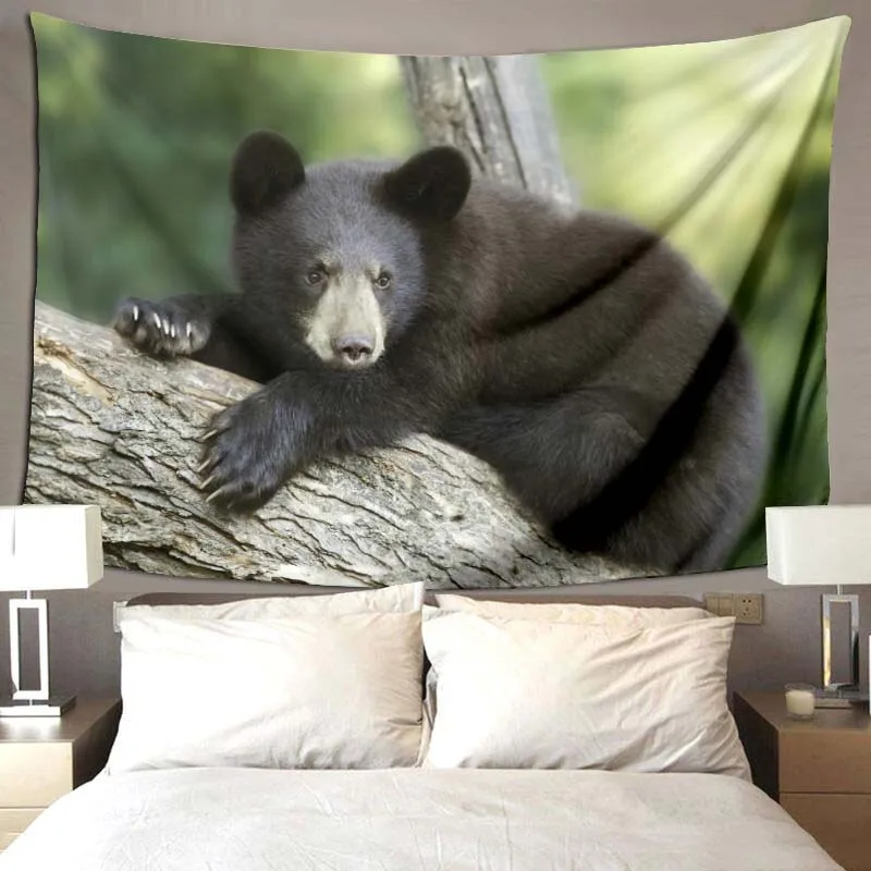 블랙 베어 및 그리즐리 베어 패턴 담요, 팬더 침실 홈 장식 담요, 부드럽고 편안한 담요, 생일 선물  Best5