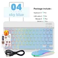 Blue-And Mouse