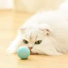 Automatic Moving Cats Toy Interactive Ball Rechargeable Rolling Electric Ball Home Pet Accessories Things for Supplies 2