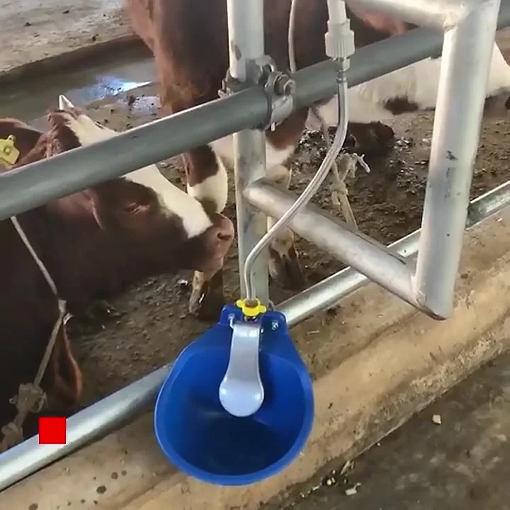 JOINPAYA 1 Pieza Tazón Automático Para Ganado Bebedero De Plástico Para