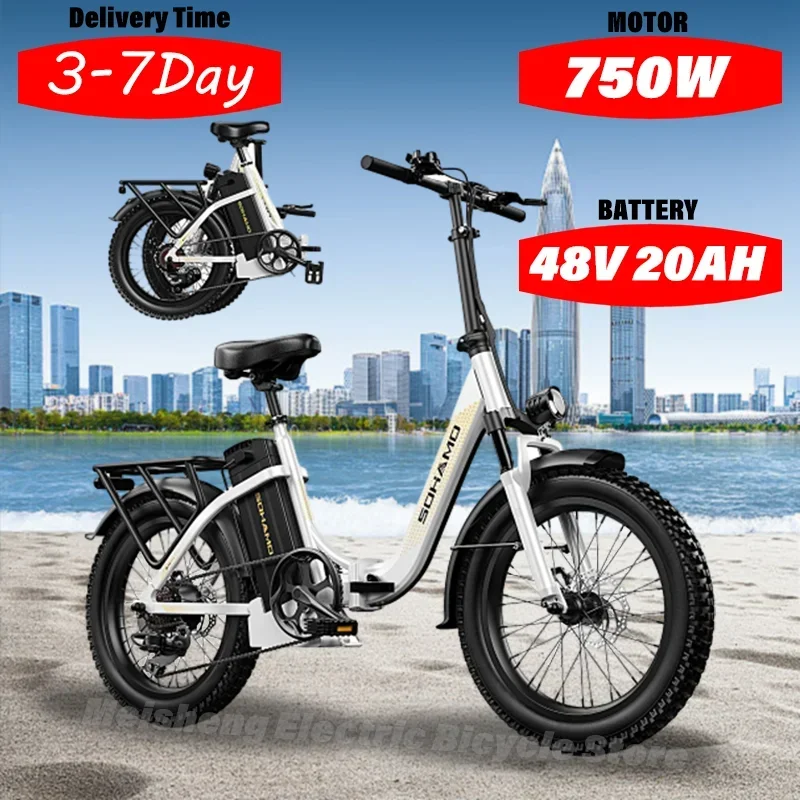 Electric Bike Electric Bicycle Ebike S3 750W 20Ah 48V Lithium Battery Electric Bicycle Hub Motor Adult Women's Electric Bicycle Beach City