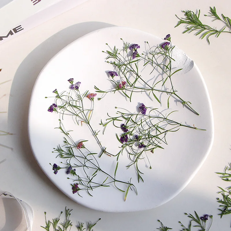 Рисунок 2 - цветочный гербарий для смолы