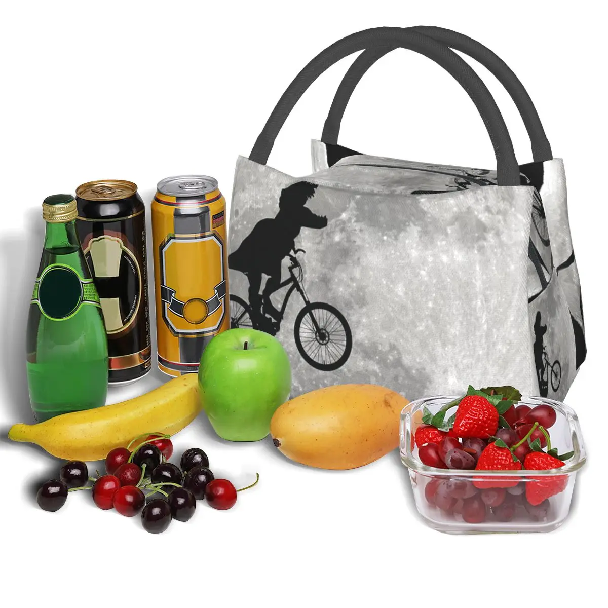 Dinosaur On The Moon Portable insulation bag for Cooler Thermal Food Office Pinic Container