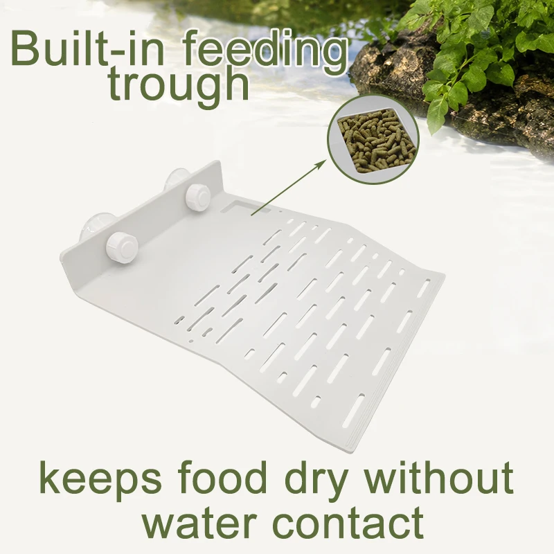 Turtle Basking & Resting Platform with Suction Cups and Climbing Ladder