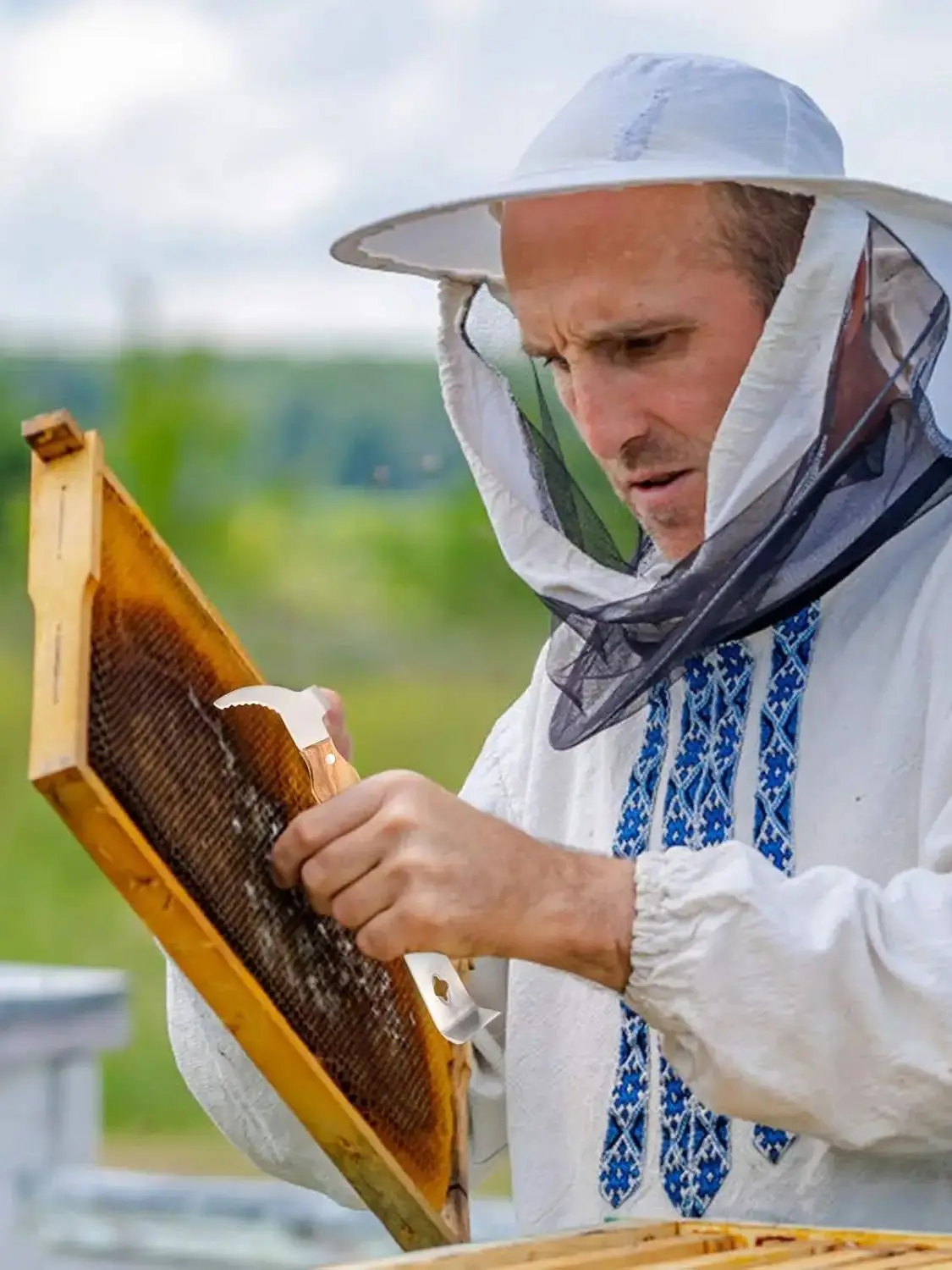 أدوات خلية النحل لتربية النحل من النوع J بمقبض خشبي منتج سكين العسل مكشطة خلية النحل لمعدات مستلزمات تربية النحل