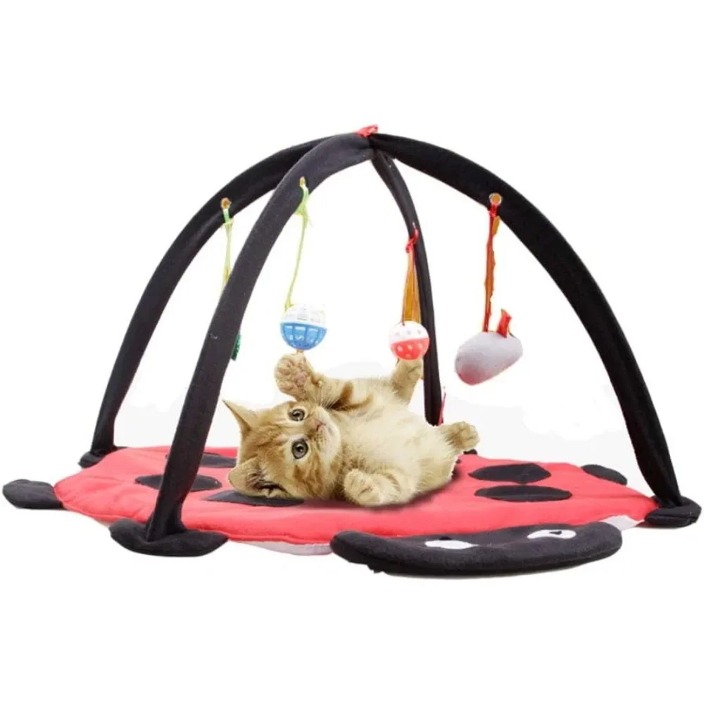 Cat Tent Activity Center