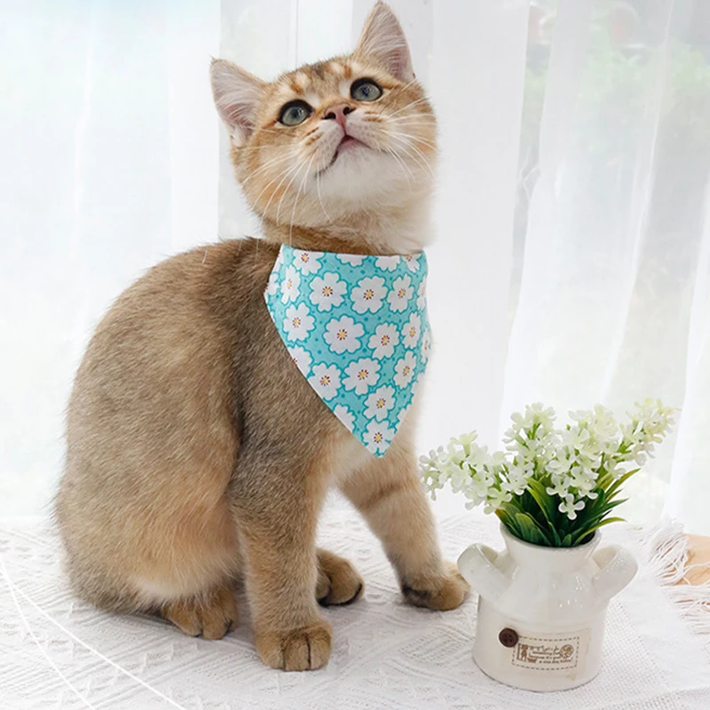 Accessoires Pour Chien : Noeuds Et Bandanas à Motifs Et Couleurs Variés