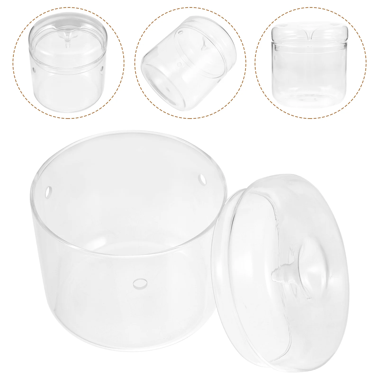 

Glass Terrarium Glass Planter Vase Clear Plant Holder Tabletop Micro-Landscape Vase Glass Plants Holder
