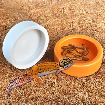 Ceramic Reptile Feeding Bowl 1