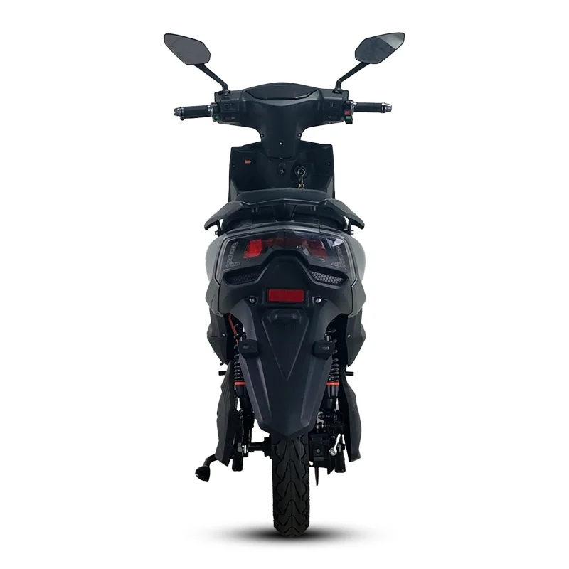 1000W High-Speed Electric Bicycle Motorcycle 3