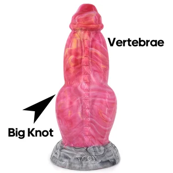 NNSX Dog Dildo Big Knot Anal Plug with Suction Cup Sexy Toy for Woman Natural Bending Scale Simulated Glans Masturbatory SexShop 3