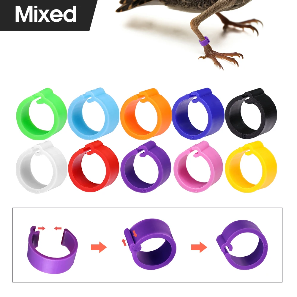 EIHI 100 Anelli Per Zampe Uccelli - 8mm, 10 Colori Misti Per Piccioni, Pappagalli E Pollame - Foto 7