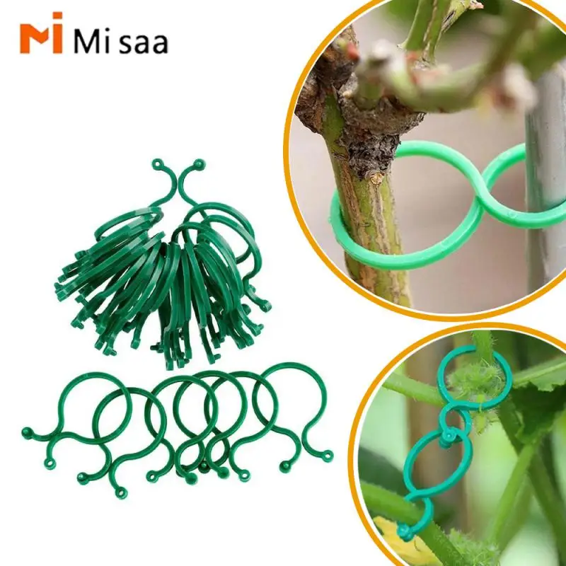 

Garden Clips Trellis For Vine Vegetable Tomato To Grow Upright Garden Buckle Garden Clip Vine Vegetable Tomato Planting Garden