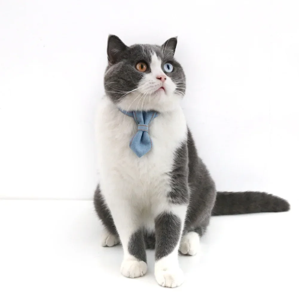 

Denim Cat Bowties And Neckties Cat Ties With Matching Collars