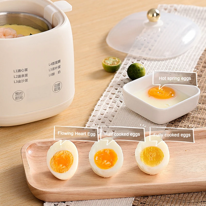 DMWD Multi functional Egg Steamer Electric Egg Boiler Automatic Timing Food Custard Steamer Breakfast Machine Yogurt Maker