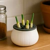 26319-c9ef85.jpg 3D Printed Hydroponic Kit - Soil-Free Indoor Planter Pot