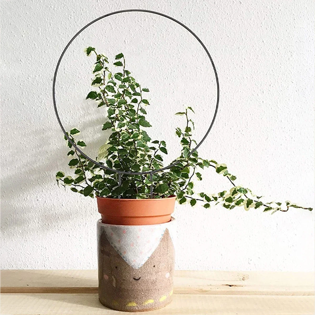 Heart-Shaped Garden Plant Support Stake-Circular Vine Climbing Frame