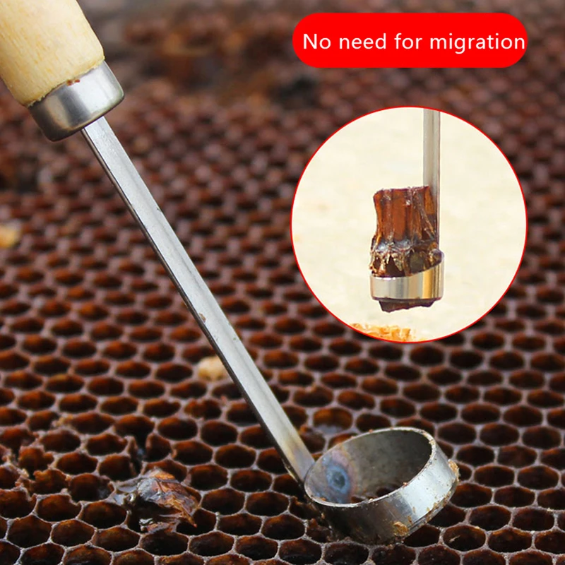 Beekeeping Device Beehive Cleaning Scraper Functional Honey Remover