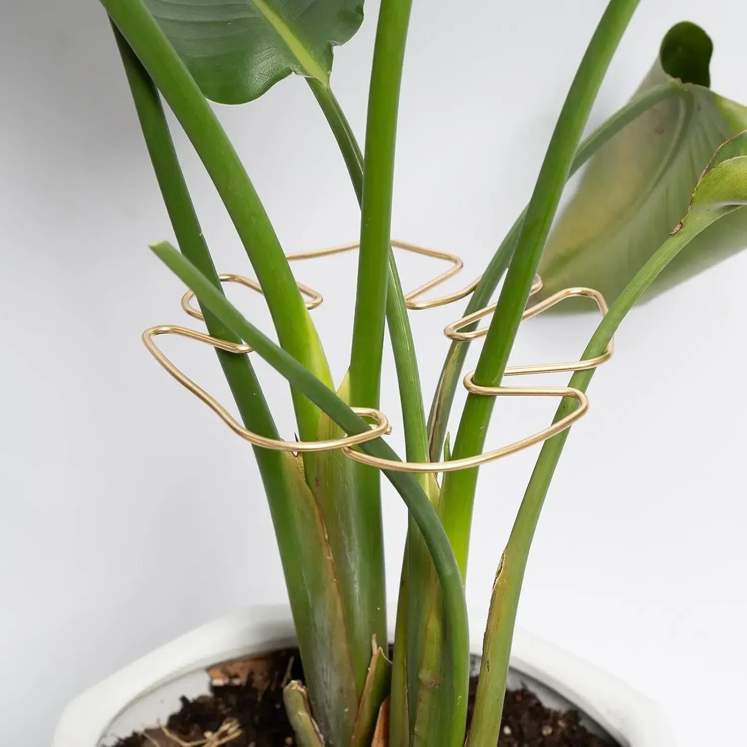 Plant Stand Monstera Shaped Plant Support Pole