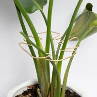 Monstera Shaped Plant Support Pole Sturdy Alloy Support Pile Easy Installation Decorative Plant Stand For Small Medium Plant 2