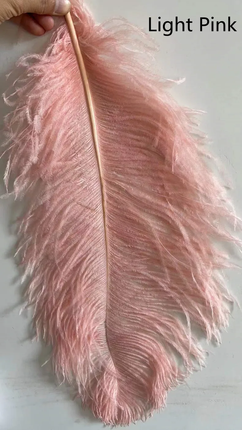 Ostrich Feather Floor Lamp